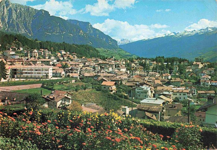 Cavalese Trento IT Panorama