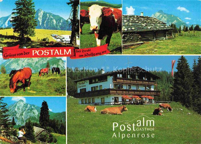 Strobl Wolfgangsee AT Postalm Gasthof Alpenrose Teilansichten