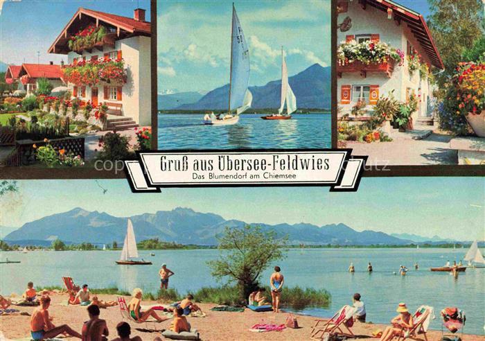 Feldwies uebersee Chiemsee Blumenpracht Segelsport Chiemseestrand