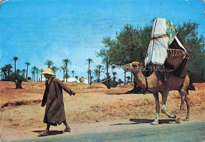 Djerba Jerba Tunesie Ile de Djerba La Johfa