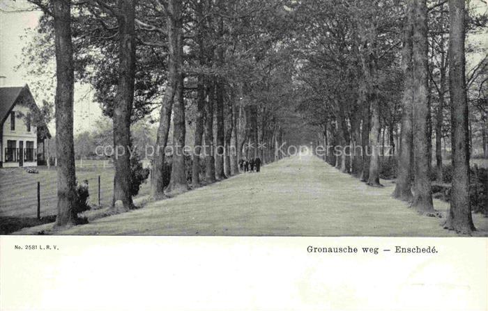 ENSCHEDE Overijssel NL Gronausche weg Allee