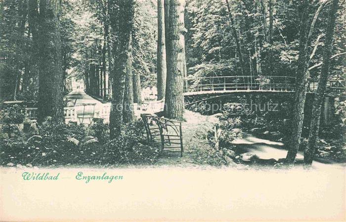 WILDBAD  Schwarzwald Enzanlagen Waldpartie