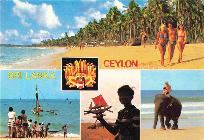 SRI LANKA Ceylon Beach Fishing with nets sunset Elephant ride