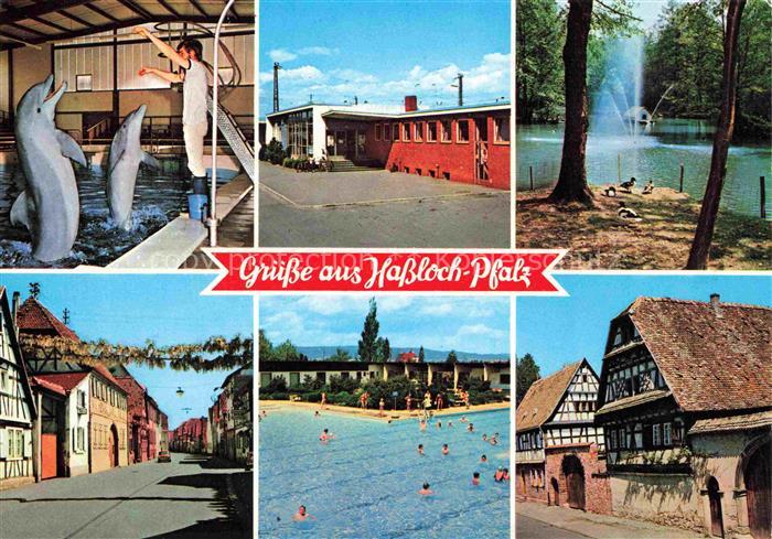 Hassloch Pfalz Delphinarium Bahnhof Vogelpark Langgasse Freibad aelteste Haeuser