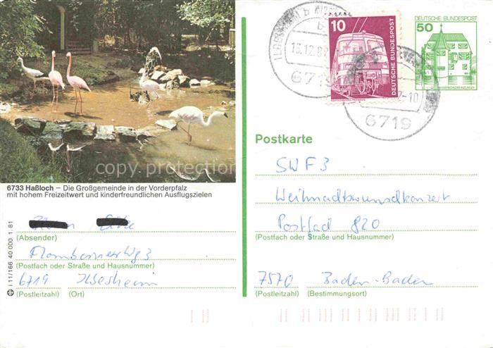 Hassloch Pfalz Holiday Park Freizeit- und Unterhaltungspark