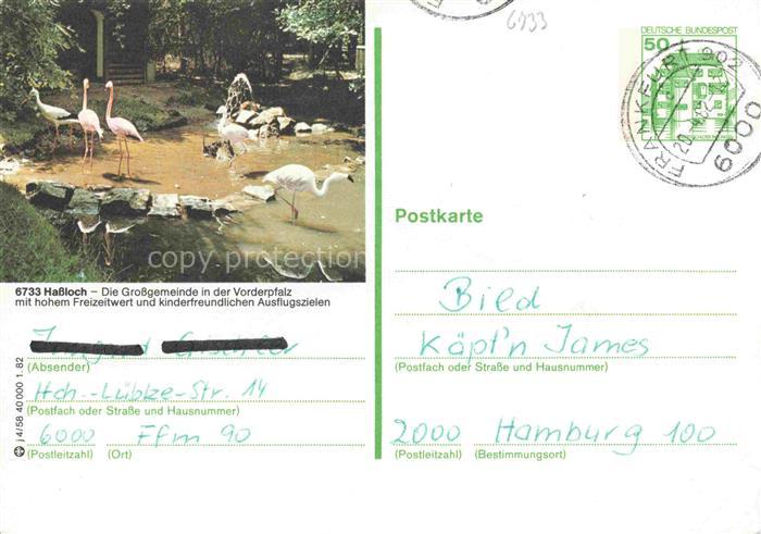 Hassloch Pfalz Holiday Park Freizeit- und Unterhaltungspark Vogelpark