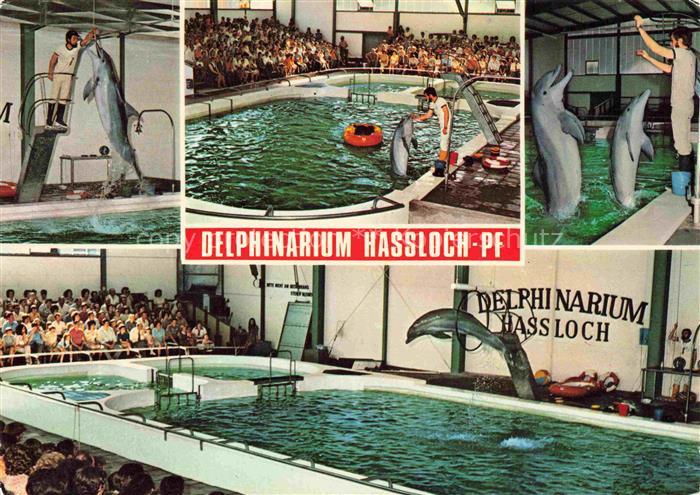 Hassloch Pfalz Delphinarium Holiday Park Freizeit- und Unterhaltungspark