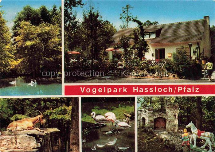 Hassloch Pfalz Vogelpark