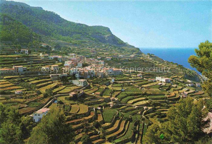 Banyalbufar Panorama