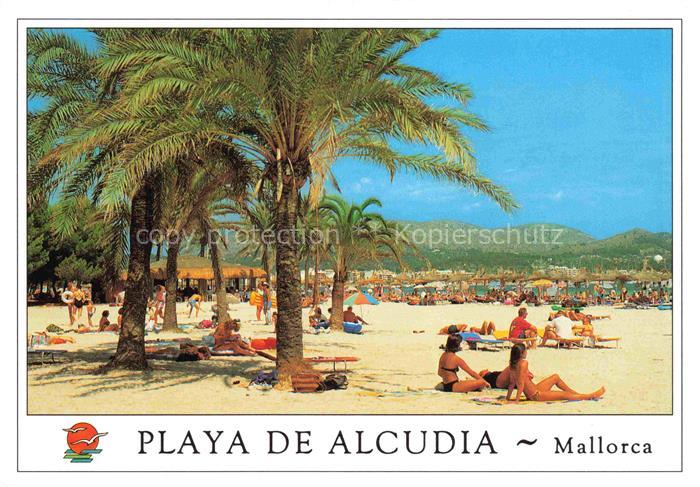 Alcudia Mallorca ES La playa