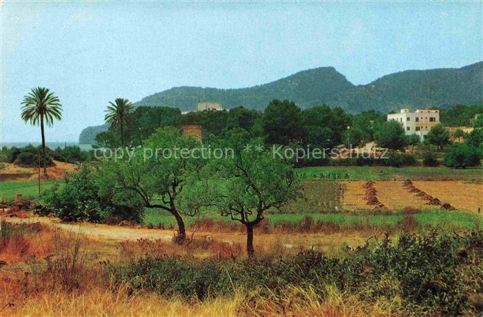 Camp de Mar MALLORCA ES Hotel Villa Real