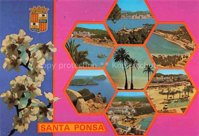Santa Ponsa Mallorca ES Teilansichten Palmen Baumbluete