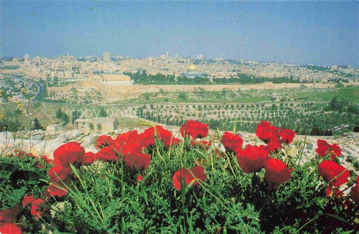 Jerusalem  Yerushalayim Israel Panorama Blick vom Mount of Olives