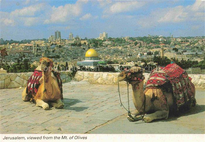 Jerusalem  Yerushalayim Israel Old City from the Mt. of Olives