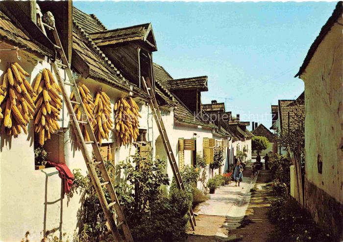 Moerbisch See Burgenland AT Hofgasse