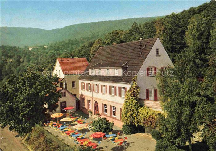 Hambach  Neustadt Weinstrasse Hotel Waldschloessel