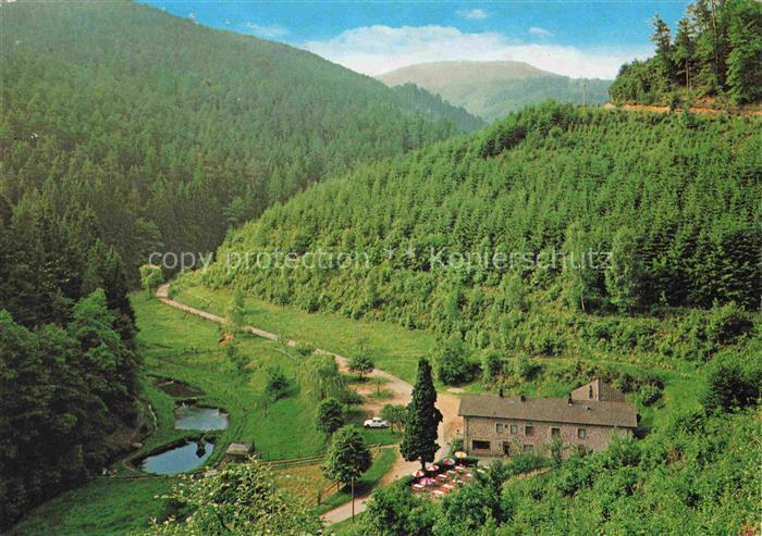 Elmstein Rheinland-Pfalz Gasthaus Pension Zum stillen Tal