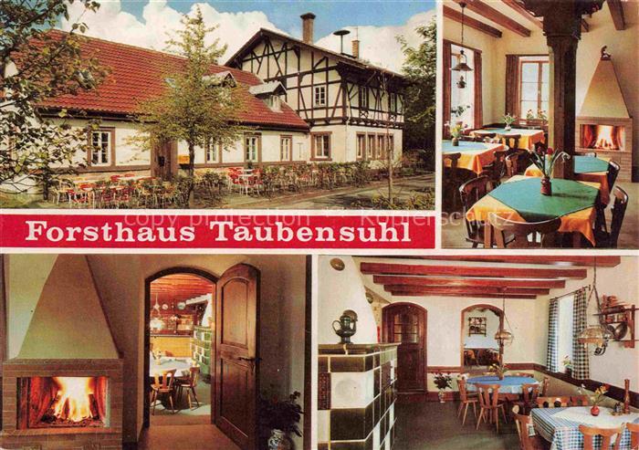 LANDAU  PFALZ Forsthaus Taubensuhl Kaminzimmer Gastraeume