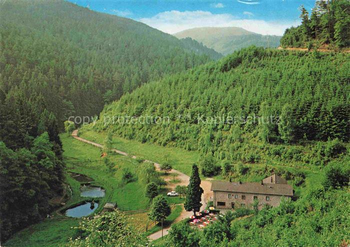 Elmstein Rheinland-Pfalz Gasthaus Pension Zum stillen Tal