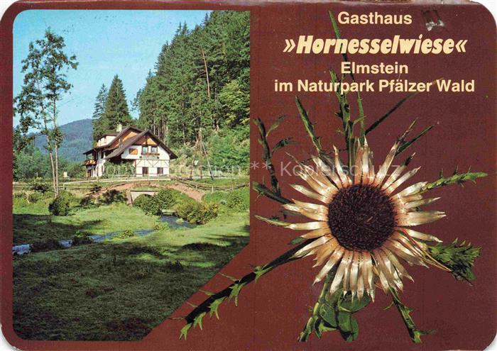 Hornesselwiese Gasthaus Cafe Pension Hornesselwiese