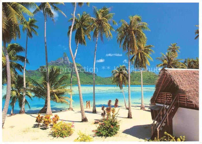 Bora Bora The Lagoonariums Beach of Bora Bora