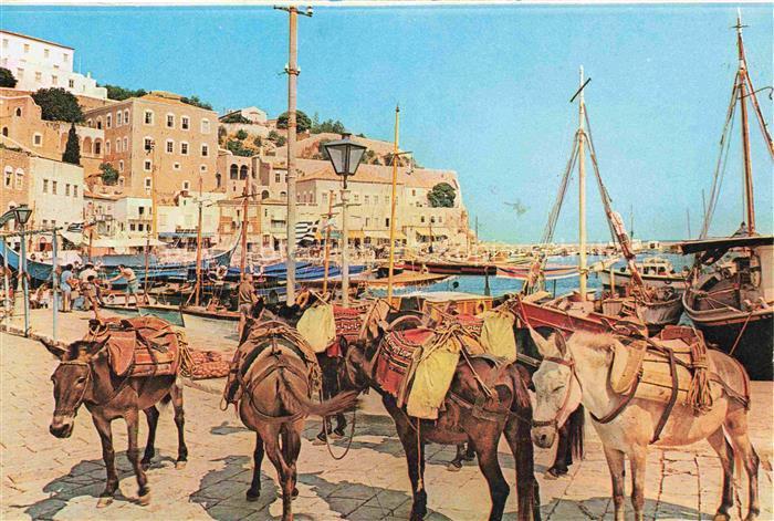 Hydra Ydra Hidra Idra Greece Hafenpartie mit Packeseln