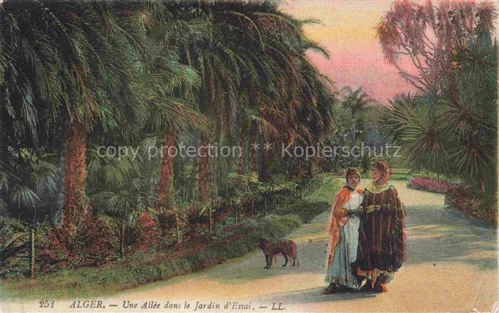 ALGER  Algerie Une Allee dans le Jardin d'Ersai