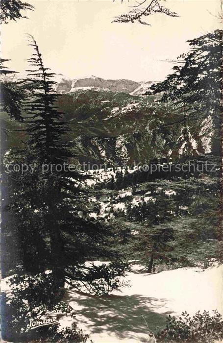 Chrea Atlasgebirge Algerie Point de Vue