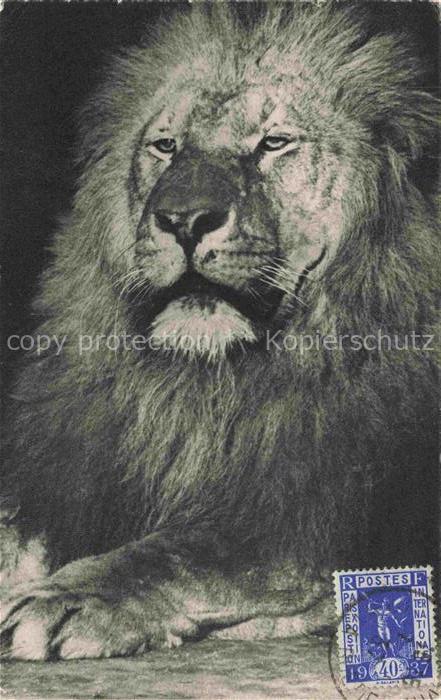 Loewe Lion-- Parc Zoologique Du Bois de vincennes Paris