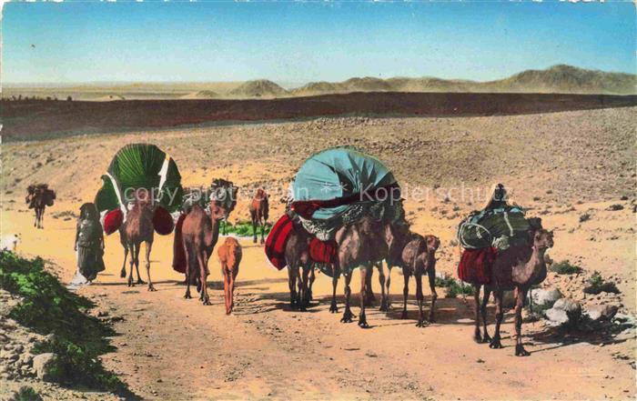 Kamele  Camel Chameau-- Saharienne Collection Famille Nomade en transhumance