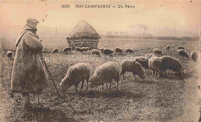 Schaeferei Sheperding Bergerie-- Nos Campagne Un Patre