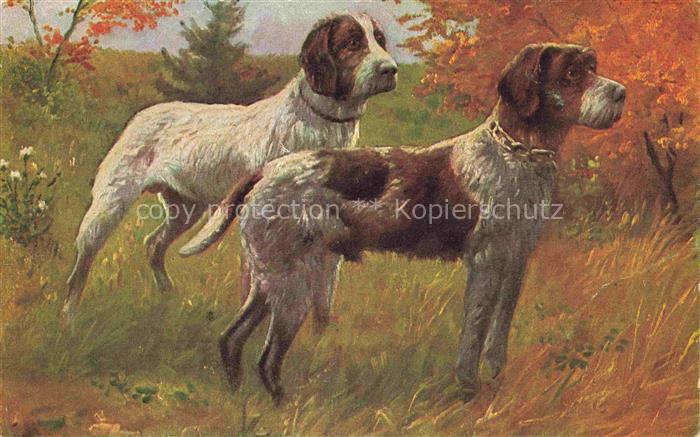 Hunde dogs chiens D.G.Z. Kuenstlerkarte