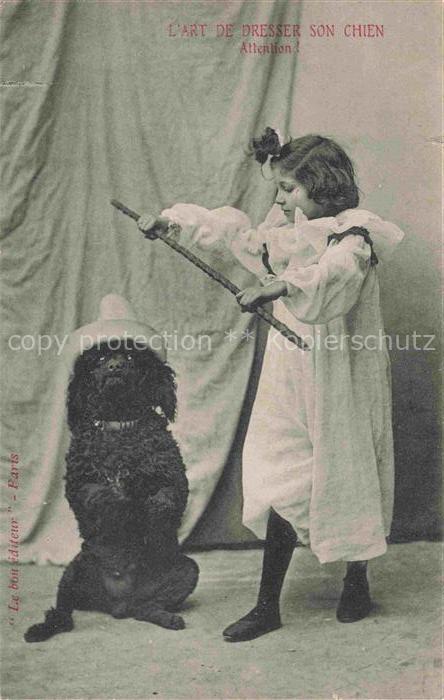 Pudel Poodle Caniche Hunde dogs chiens L Art De Dresser Son Chien Atention