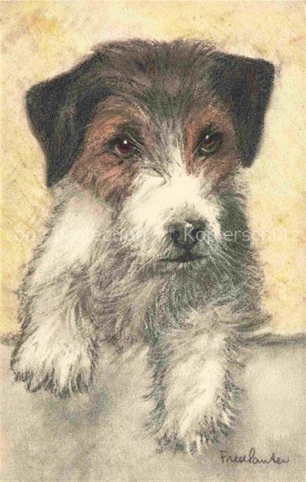 Kuenstlerkarte Fox Terrier Nr. 69 Hund Braun Weis
