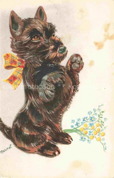 Hunde dogs chiens Kuenstlerkarte Bernet Sitz Schleife Braun