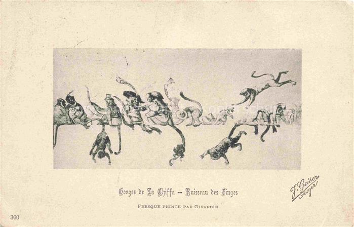Affen Monkeys Singes Monos Scimmie-- Gonges de la Chiffa Ruisseau des Singes