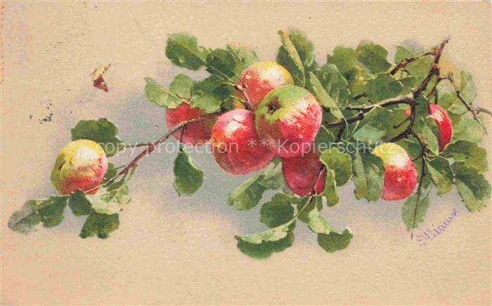 Obst Fruit Frutta Fruta-- Apfel