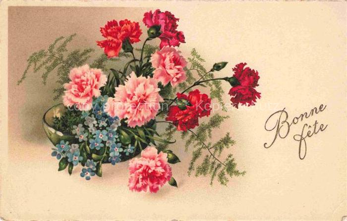 Nelken Carnations Oeillets Claveles Garofani-- Litho