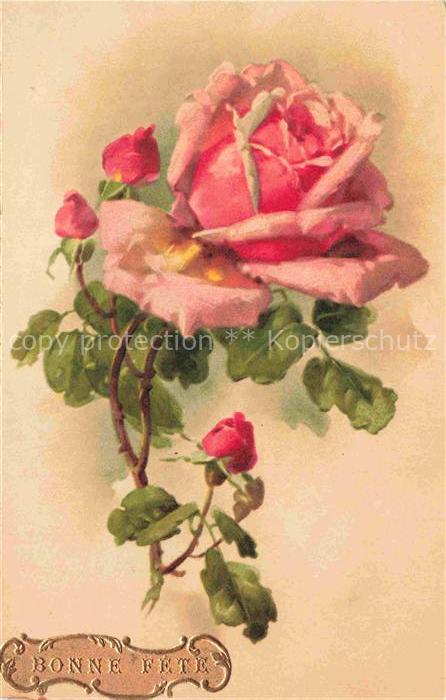 Rosen Roses Rosas-- Litho RosaBonne Fete