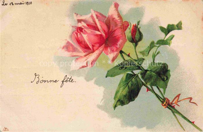 Rosen Roses Rosas-- Litho Rosa Nonne fete