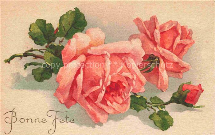 Rosen Roses Rosas-- Litho Rosa Bonne fete