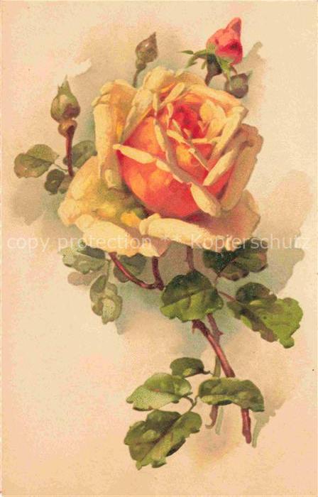 Rosen Roses Rosas-- Litho Gelb