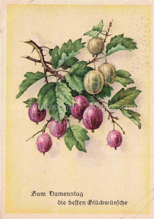 Namenstag Namenskarte Stachelbeere