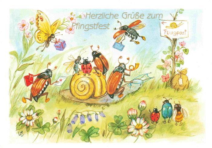 Maikaefer Cockchafer Hanneton-- Pfingstfest Schnecke Schmetterling