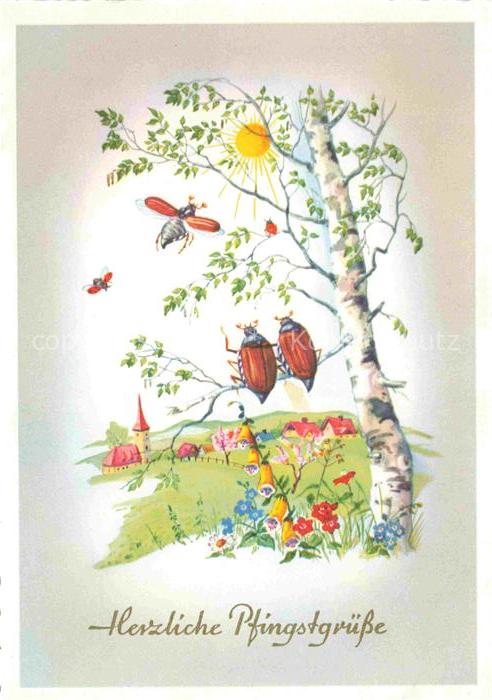 Maikaefer Cockchafer Hanneton-- Pfingsten Baum Sonne