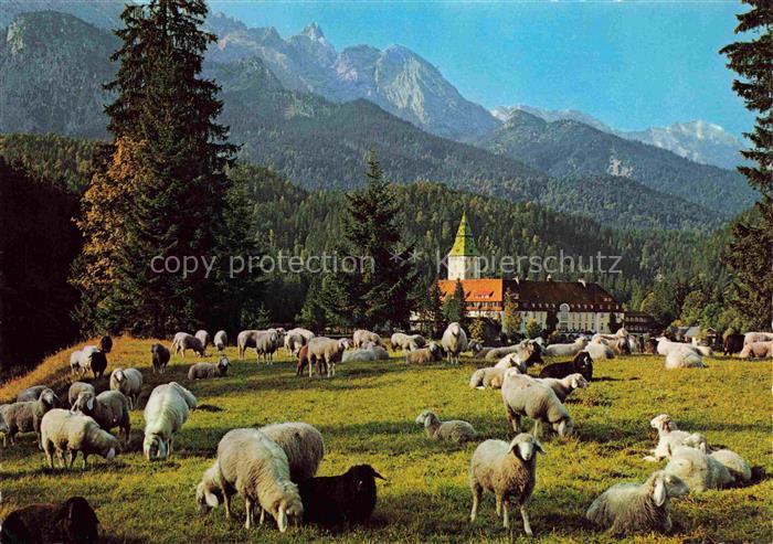 Schaeferei Sheperding Bergerie-- Post Klais Oberbayern Schloss Elmau