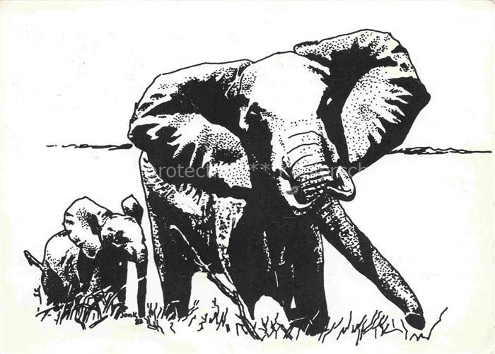 Elefant Schatenbild Tasnzania J. Kagaruki