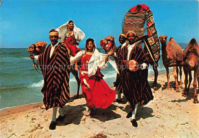 Kamele  Camel Chameau-- Tunisie Un mariage