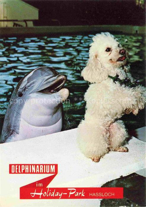 Delphine Dolphins Dauphins Delfines Hassloch Pfalz Holiday Park Pudel