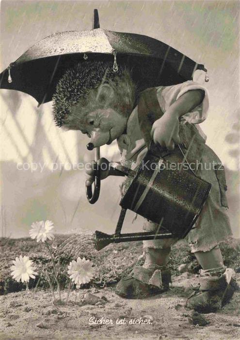Mecki Nr. 163 Diel Film Hoer Zu Igel Giesskane Regen